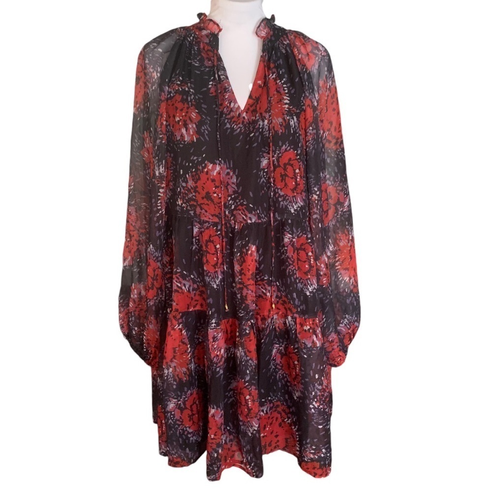Entro Dark Moody Floral Sheer Overlay Long Sleeve Whimsy Goth Dress Sz S